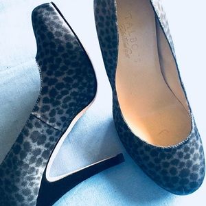 TALBOTS GRAY & BLACK LEOPARD PRINT 6